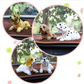 🐶 PROMO FLASH : 50% DE RÉDUCTION ! 🚗 Figurine Chien Hochet Décoration Tableau de Bord de Voiture – Mouvement Automatique – Peluche Floquage Premium – 7 Races Adorables au Choix – Cadeau Parfait pour Amoureux des Chiens 🎁