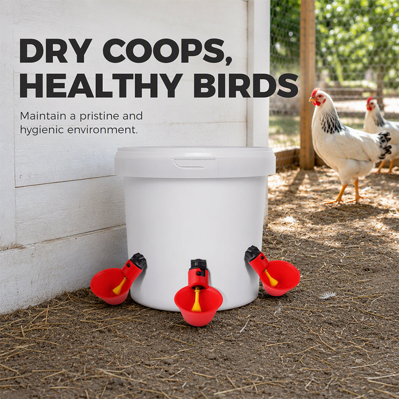 Abreuvoirs automatiques à gravité pour poulets