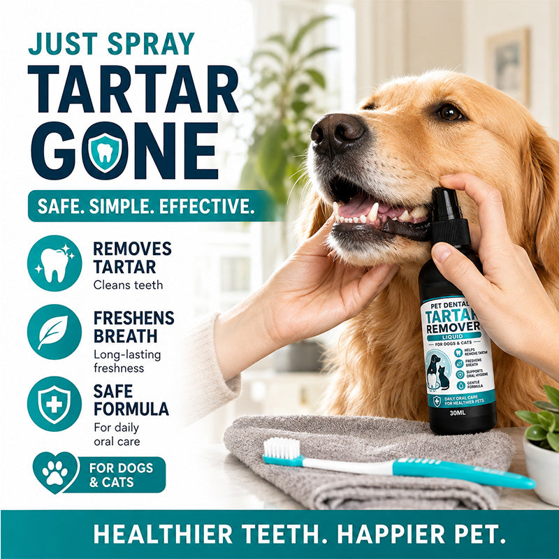🔥 50% DE RÉDUCTION ! ✨Spray nettoyant dentaire doux pour animaux de compagnie