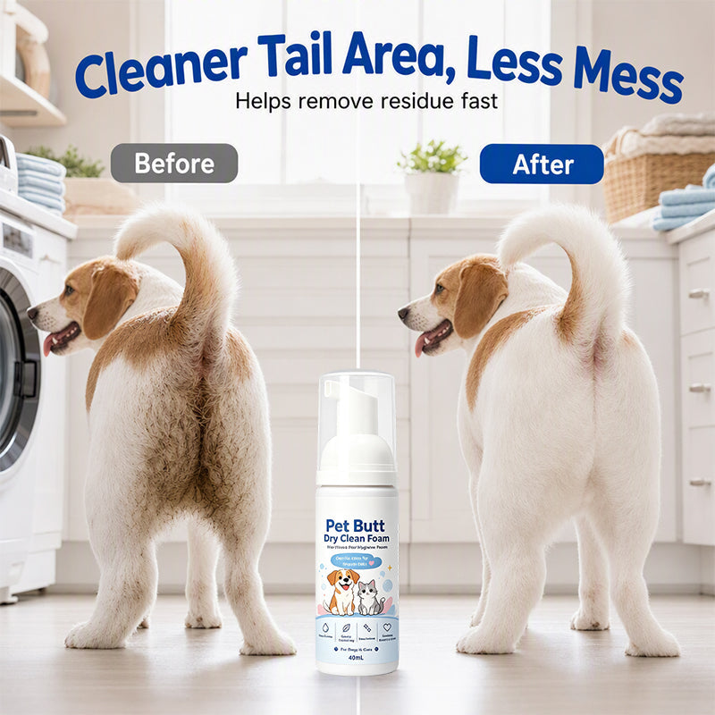 🔥Offre à durée limitée : 50 % de réduction🔥Mousse nettoyante sans rinçage pour les fesses des chiens et des chat