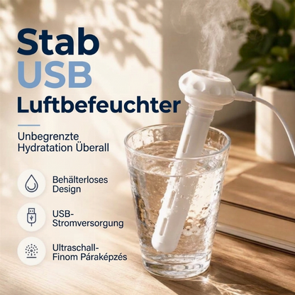 🔥 50% DE RÉDUCTION ! ✨Mini humidificateur portable à brume avec connexion USB