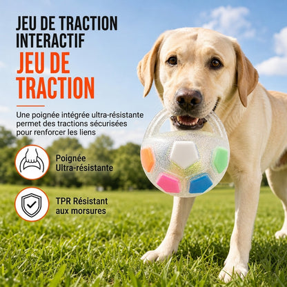 🐶⚽ Balle de Football Interactive pour Chien – Poignées de Traction, TPR Résistant aux Morsures et Jeu Extérieur