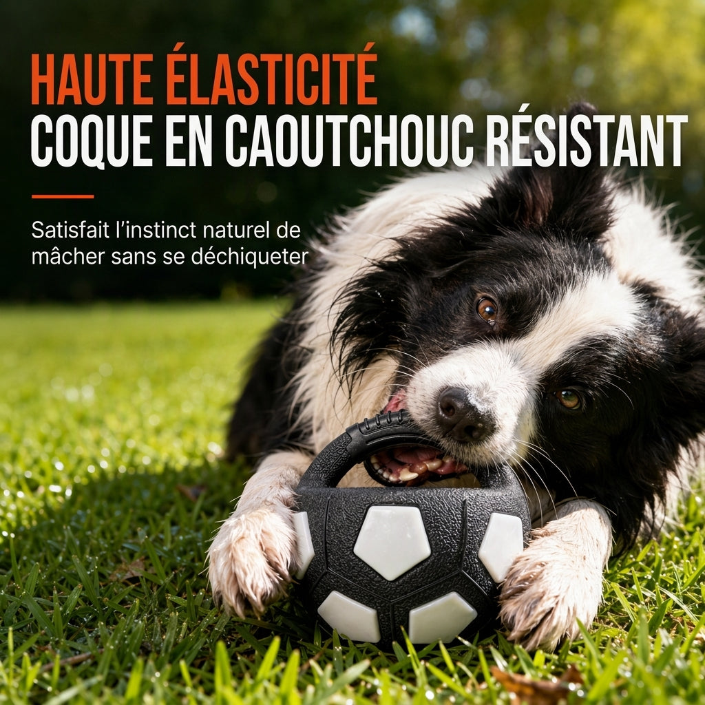 🐶⚽ Balle de Football Interactive pour Chien – Poignées de Traction, TPR Résistant aux Morsures et Jeu Extérieur